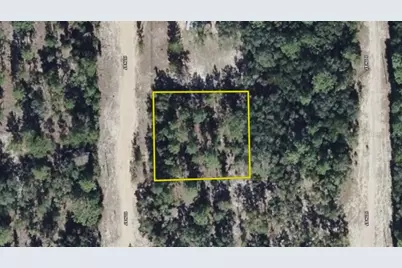 11st St, Interlachen, FL 32148 - Photo 5