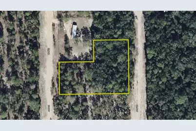11st St, Interlachen, FL 32148 - Photo 5