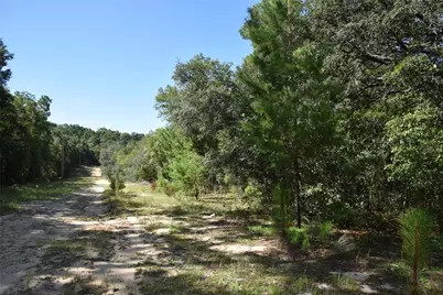 11st St, Interlachen, FL 32148 - Photo 25