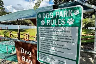 14365 NE 252nd Ct Rd, Salt Springs, FL 32134 - Photo 33