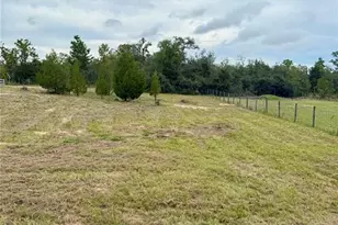 10903 N Farmwood Ave, Dunnellon, FL 34433 - Photo 33