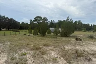 10903 N Farmwood Ave, Dunnellon, FL 34433 - Photo 37