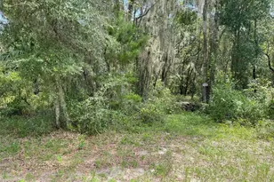 Lots 15 & 16 SW Shorewood Dr, Dunnellon, FL 34431 - Photo 1