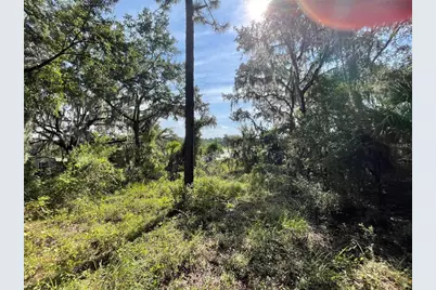 Lots 15 & 16 SW Shorewood Drive, Dunnellon, FL 34431 - Photo 5