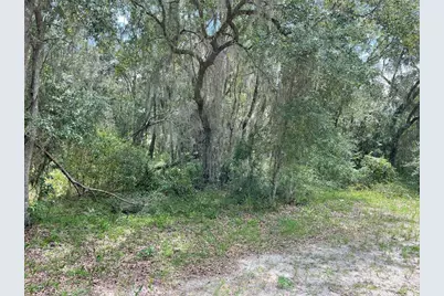 Lots 15 & 16 SW Shorewood Drive, Dunnellon, FL 34431 - Photo 11