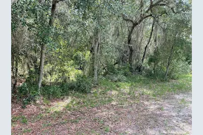 Lots 15 & 16 SW Shorewood Drive, Dunnellon, FL 34431 - Photo 9