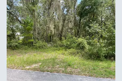Lots 15 & 16 SW Shorewood Drive, Dunnellon, FL 34431 - Photo 3