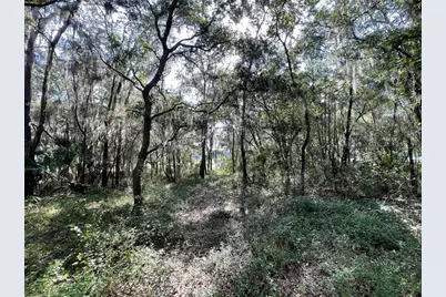 Lots 15 & 16 SW Shorewood Drive, Dunnellon, FL 34431 - Photo 7