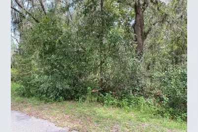 Lots 13 & 14 SW Shorewood Drive, Dunnellon, FL 34431 - Photo 9