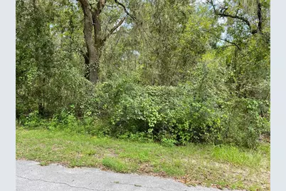 Lots 13 & 14 SW Shorewood Drive, Dunnellon, FL 34431 - Photo 1