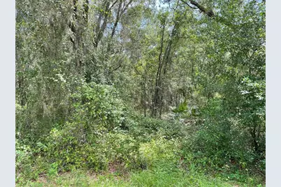 Lots 13 & 14 SW Shorewood Drive, Dunnellon, FL 34431 - Photo 3