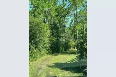 8741 E Highway 318, Citra, FL 32113 - Photo 29