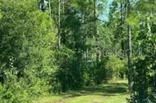 8741 E Hwy 318, Citra, FL 32113 - Photo 29
