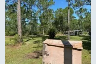 8741 E Highway 318, Citra, FL 32113 - Photo 33
