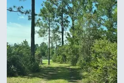 8741 E Highway 318, Citra, FL 32113 - Photo 25