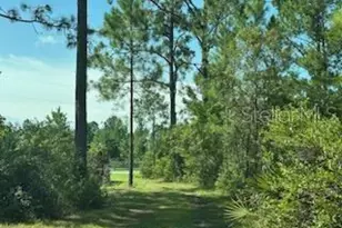 8741 E Hwy 318, Citra, FL 32113 - Photo 25