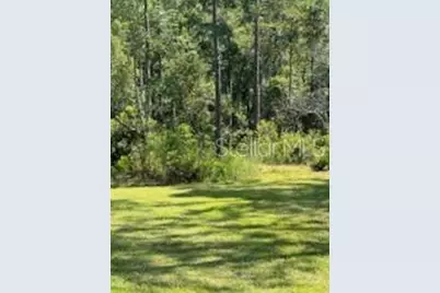8741 E Highway 318, Citra, FL 32113 - Photo 23