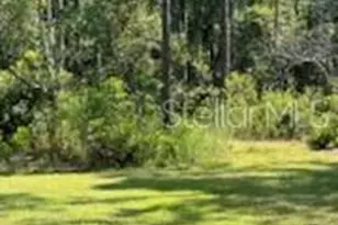 8741 E Hwy 318, Citra, FL 32113 - Photo 23