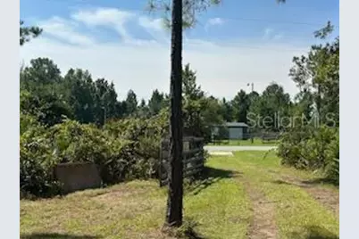 8741 E Highway 318, Citra, FL 32113 - Photo 27