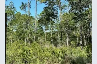 8741 E Highway 318, Citra, FL 32113 - Photo 31