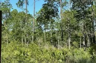 8741 E Hwy 318, Citra, FL 32113 - Photo 31