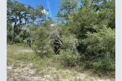 Lots 462 & 463 SW Shorewood Drive, Dunnellon, FL 34431 - Photo 7