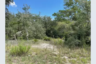 Lots 462 & 463 SW Shorewood Drive, Dunnellon, FL 34431 - Photo 1