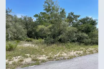 Lots 462 & 463 SW Shorewood Drive, Dunnellon, FL 34431 - Photo 9