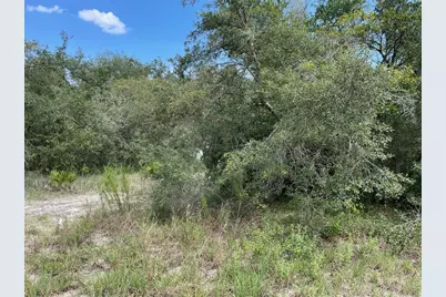 Lots 462 & 463 SW Shorewood Drive, Dunnellon, FL 34431 - Photo 3