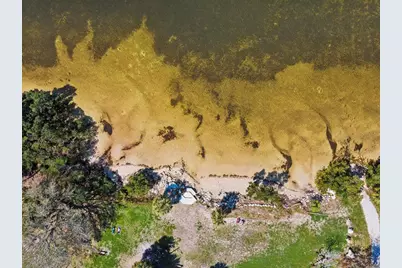 2554 Rolling Oaks Drive, Palm Harbor, FL 34683 - Photo 59