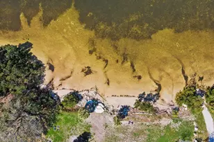 2554 Rolling Oaks Dr, Palm Harbor, FL 34683 - Photo 59