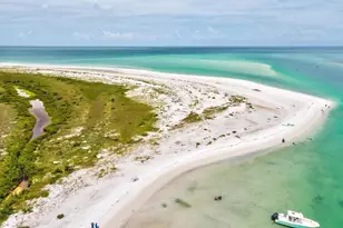 2554 Rolling Oaks Dr, Palm Harbor, FL 34683 - Photo 77