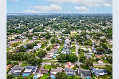 2554 Rolling Oaks Drive, Palm Harbor, FL 34683 - Photo 51