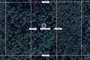Tbd County Rd, New Smyrna Beach, FL 32168 - Photo 1
