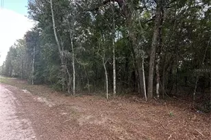 Tbd NE 234th Pl, Fort Mc Coy, FL 32134 - Photo 1