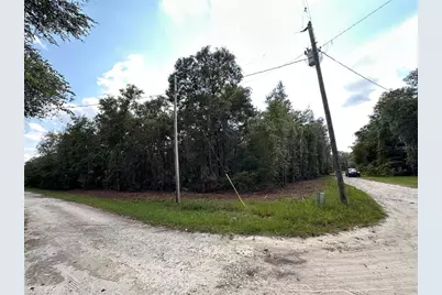 Tbd NE 234th Place, Fort Mc Coy, FL 32134 - Photo 9