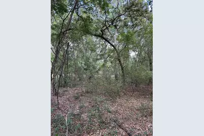 Tbd NE 234th Place, Fort Mc Coy, FL 32134 - Photo 11