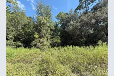 Tbd SW 40th Street, Dunnellon, FL 34432 - Photo 3