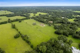 553 NE 205 Ave, Williston, FL 32696 - Photo 29