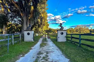 553 NE 205 Ave, Williston, FL 32696 - Photo 59