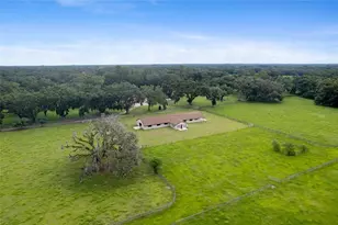 553 NE 205 Ave, Williston, FL 32696 - Photo 55