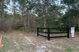 5664 W Chino Dr, Beverly Hills, FL 34465 - Photo 9