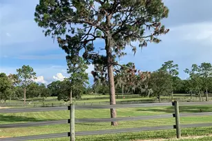 5664 W Chino Dr, Beverly Hills, FL 34465 - Photo 7