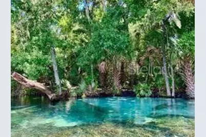 2190 W Landmark Drive, Citrus Springs, FL 34434 - Photo 9