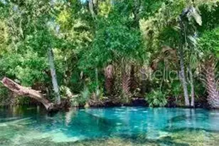 2190 W Landmark Dr, Citrus Springs, FL 34434 - Photo 9