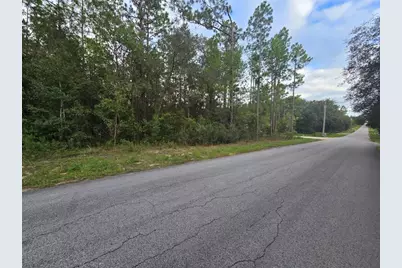 178 Terrace, Dunnellon, FL 34432 - Photo 3