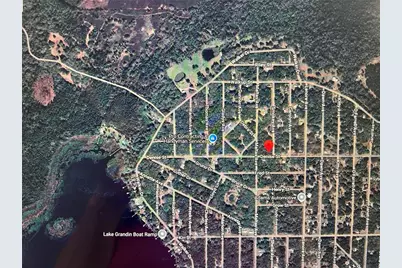 2008 Denise Street, Interlachen, FL 32148 - Photo 3