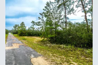 8109 N Wayside Avenue, Dunnellon, FL 34433 - Photo 1