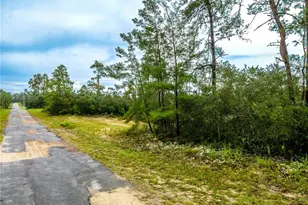 8109 N Wayside Ave, Dunnellon, FL 34433 - Photo 1