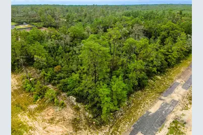 8109 N Wayside Avenue, Dunnellon, FL 34433 - Photo 3